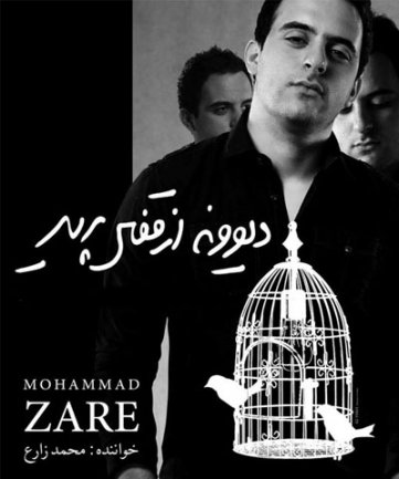 دیوونه از قفس پرید