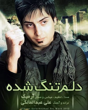 دلم تنگ شده