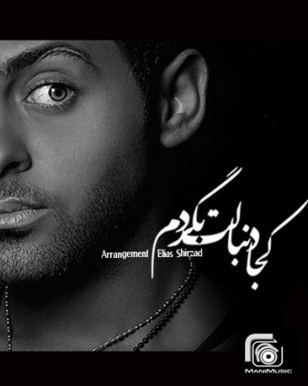 کجا دنبالت بگردم