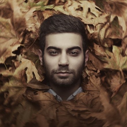 هر سال پاییز