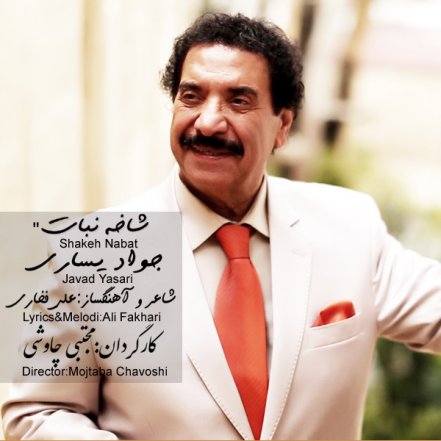 شاخ نبات