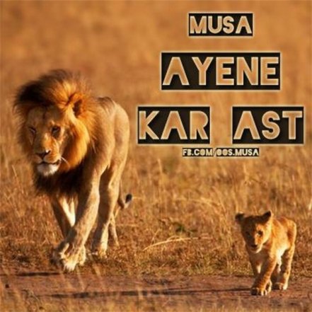 آینه کار است