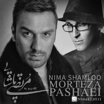 مرتضی پاشایی