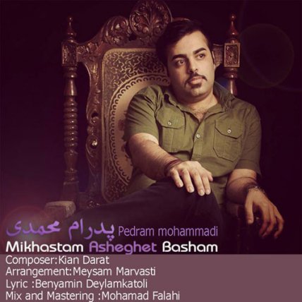 میخواستم عاشقت باشم
