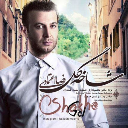 شاخ گل