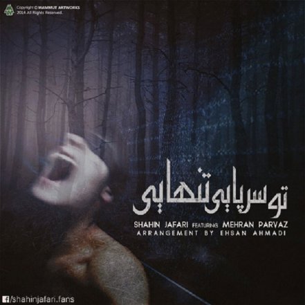 تو سرپایی تنهایی