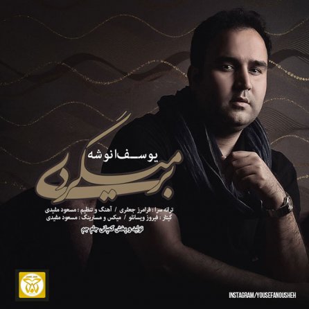 بر میگردی