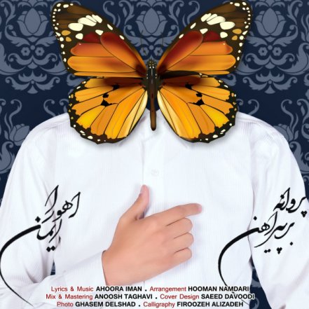 پروانه بر پیرهن