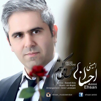 حس میکنم