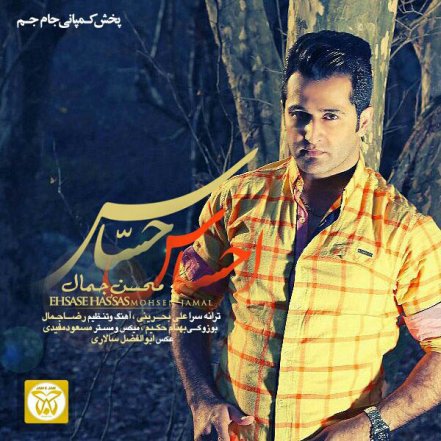 احساس حساس