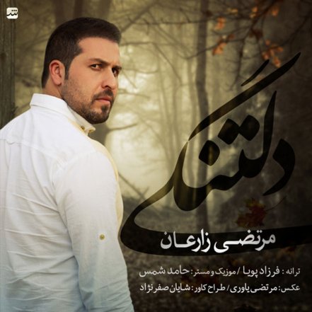 دلتنگی