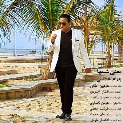 معنی شبها