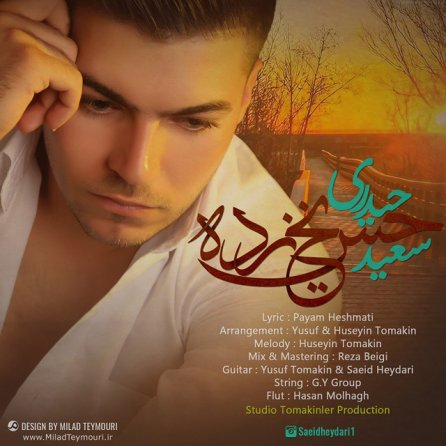 حس یخ زده
