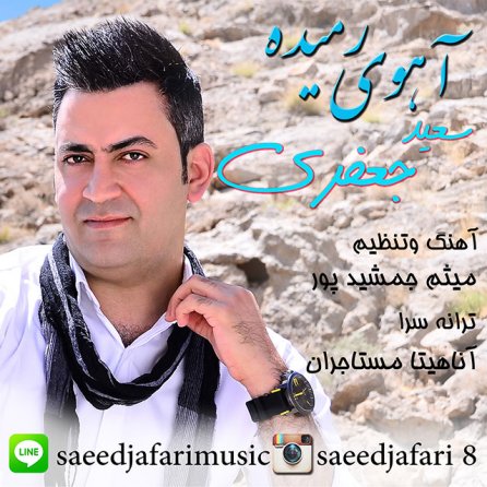 آهوی رمیده