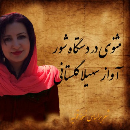 مثنوی در دستگاه شور
