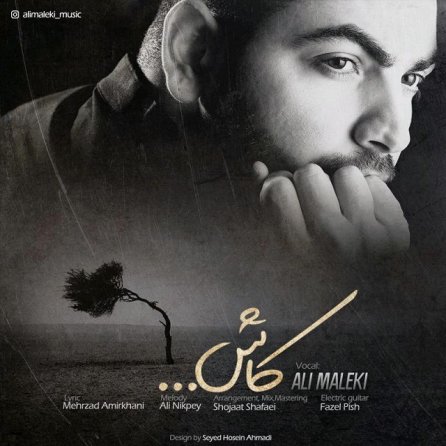 کاش