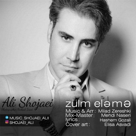 Zulm Eleme