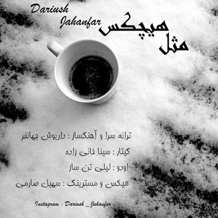 مثل هیچکس