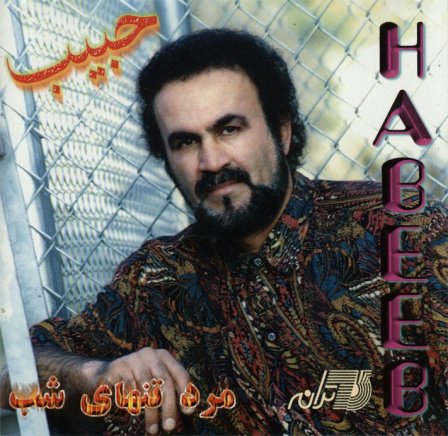 مرد تنهای شب