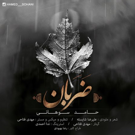 ضربان
