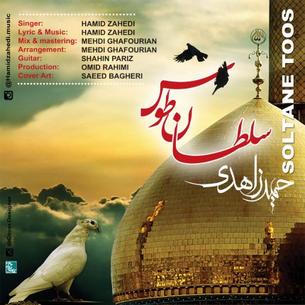 سلطان توس