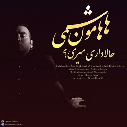 حالا داری میری