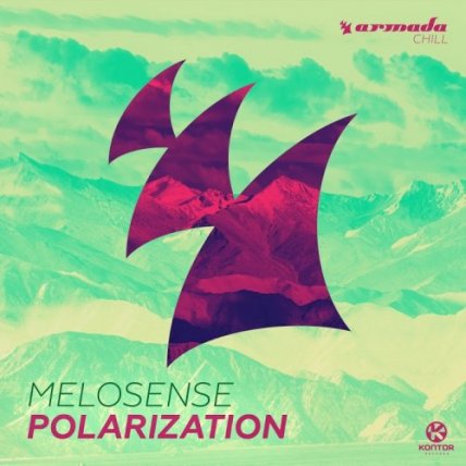Polarization