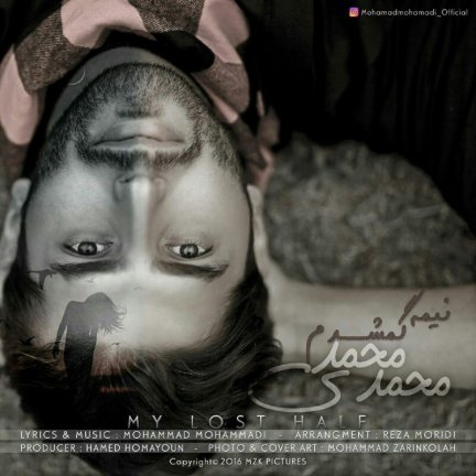 نیمه گمشدم