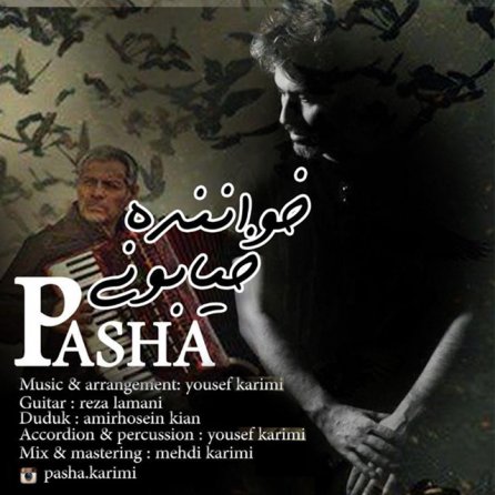 خواننده خیابونی