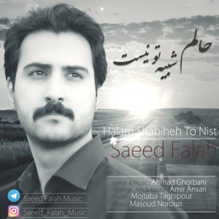 حالم شبیه تو نیست