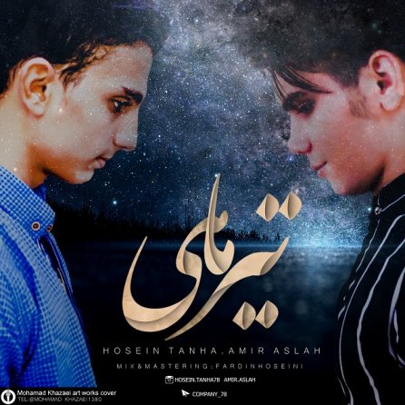 تیر ماهی