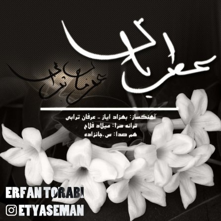 عطر یاس