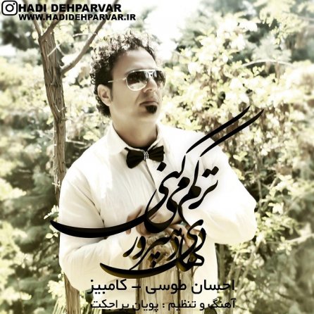 ترکم میکنی