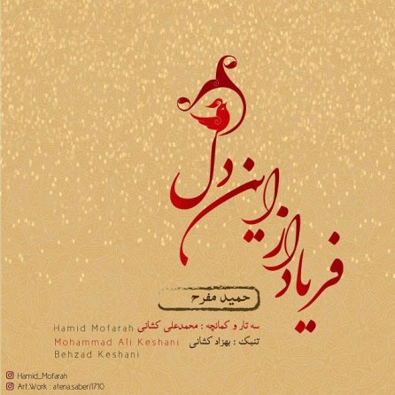 فریاد از این دل