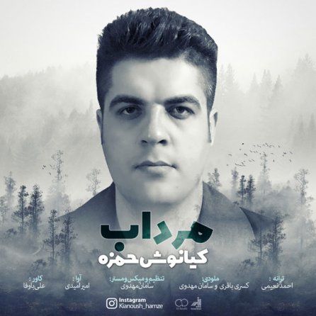 مرداب