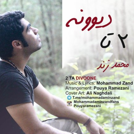2تا دیوونه