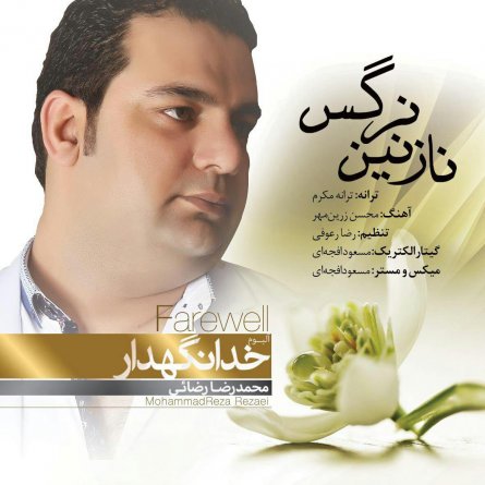 نازنین نرگس