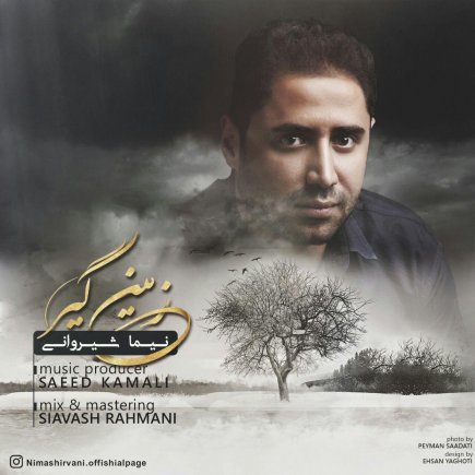 زمین گیر