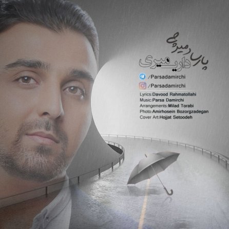 داری میری