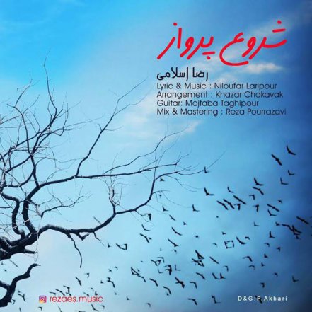 شروع پرواز