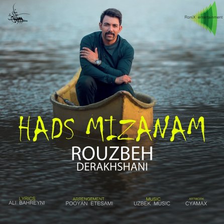 حدس میزنم