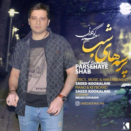 پرسه های شب