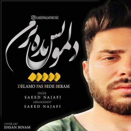 دلمو پس بده برم