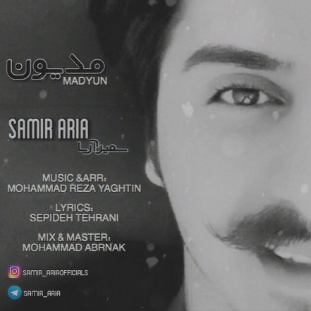 مدیون