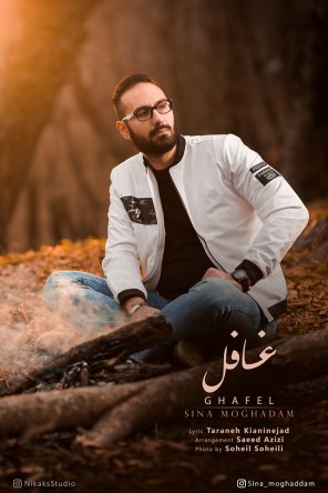 غافل