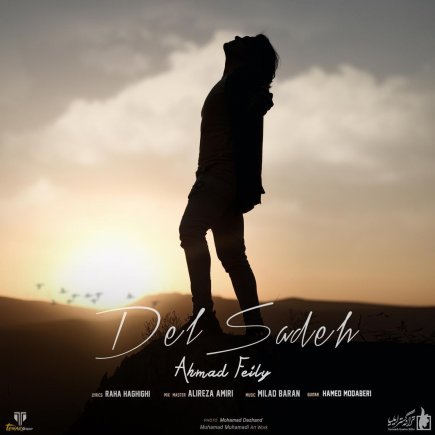دل ساده