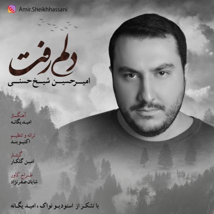 دلم رفت