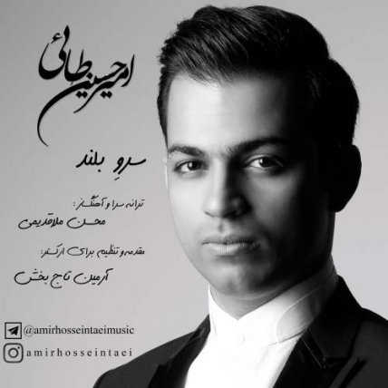 سرو بلند