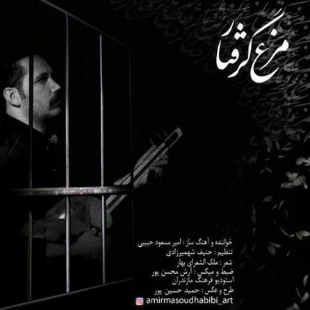 مرغ گرفتار