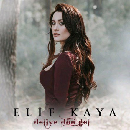 Deliye Don Gel